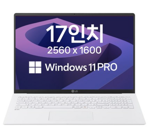 LG 그램17 11세대 i5 윈도우11프로 17인치 초경량 고해상도 NVME SSD