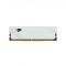 PATRIOT DDR5-6000 CL30 SIGNATURE PREMIUM EVO 화이트 파인인포 (16GB)