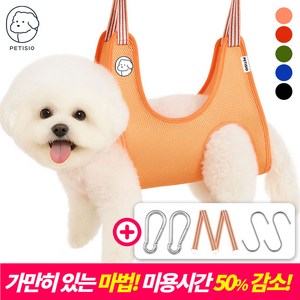 쁘띠시오 강아지미용거치대 고양이 애견 강아지 미용 발톱 발톱깎이 해먹 테이블 거치대 의자